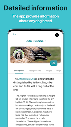 Dog Scanner: Breed Recognition