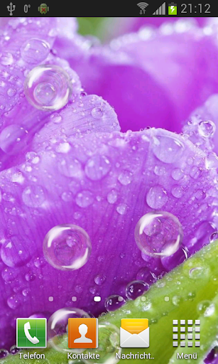 Tulips live wallpaper Screenshot 4 - AppWisp.com