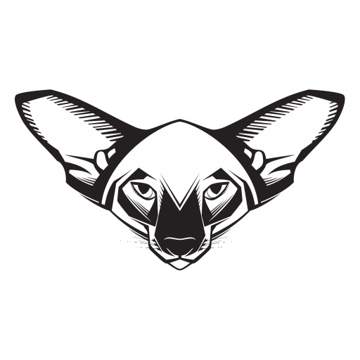 SnsVision logo