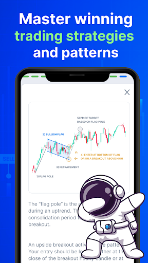 Screenshot of Forex Academy