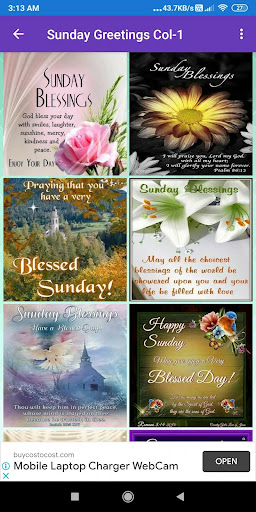 Everyday Greetings Sunday to