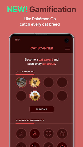 Scanner de chat – Identification de race de chat