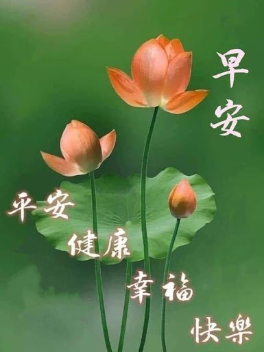 早安-早上好 早安问候图片祝福图片 晚安问候 新年祝福 Screen 2