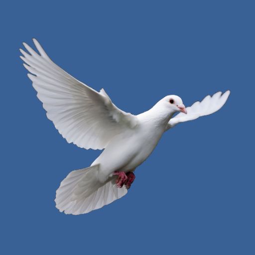 Nuestra Radio Cristiana Chile