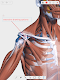 screenshot of Visual Anatomy 3D - Human body
