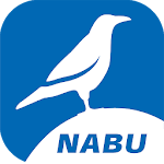 Cover Image of Unduh Dunia burung NABU - temukan dan identifikasi burung  APK