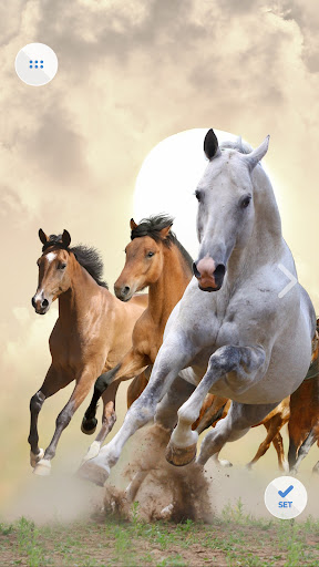 Horses Cool Wallpapers Screen 2