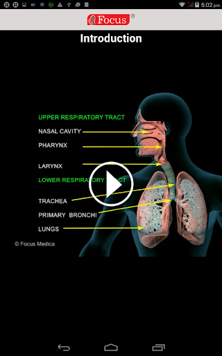 Upper Respiratory Tract Screen 3