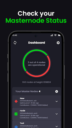 Beldex Masternode Monitor Screen 2