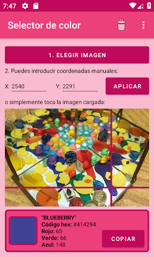 Vista previa de la aplicación