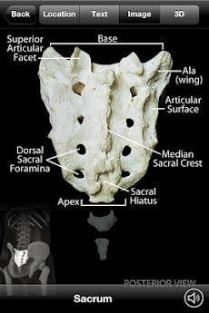 Skeletal Anatomy 3Dのおすすめ画像4