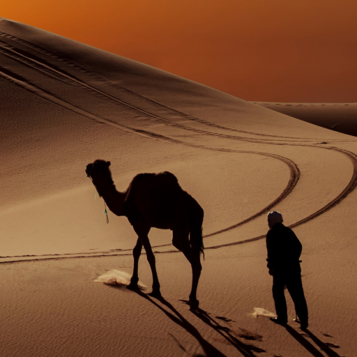 Desert Wallpapers Background Google Play のアプリ