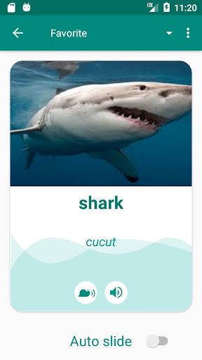 Indonesian English Dictionary Screen 3