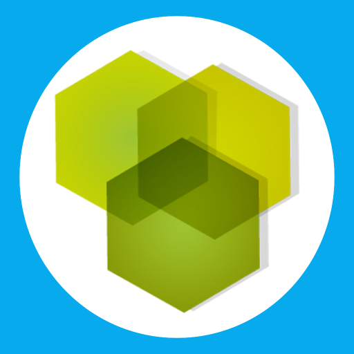 Bluekey logo