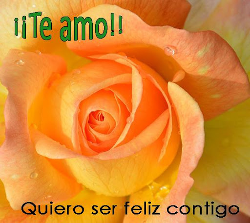 Te Amo Amor - Frases Screen 2