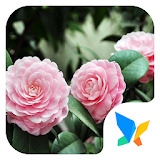 Blossoming flower 91 Launcher Theme icon