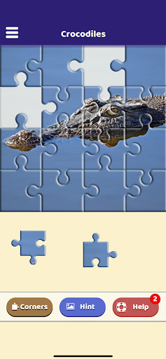 Crocodile Lovers Puzzle Screen 2