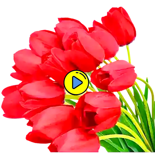 Animated Flowers Stickers Download on Windows