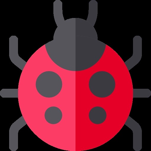 Lady Bug VPN