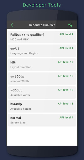 Developer Tools Screen 2