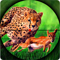 Cheetah Hunter 2016 - гепард