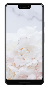 White Wallpapers & Backgrounds