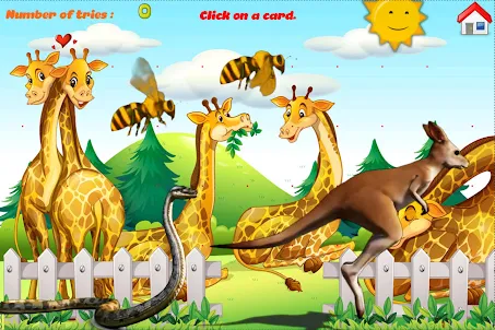 Zoo Cards KN Channel