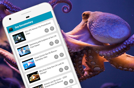 Sea Animals Documentary - Apps on Google Play