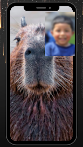 Capybara Funny Fake Call &chat