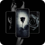 Cover Image of Download Black Wallpapers 1.1 APK