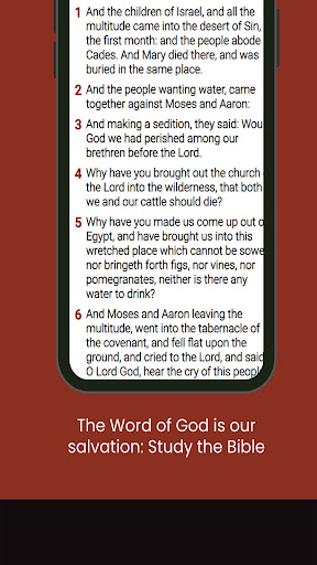 Catholic Bible Audio Offline Screen 2