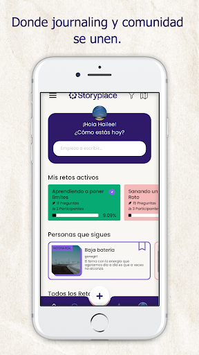 Vista previa de la aplicación