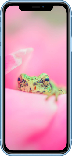 Aesthetic Wallpaper 2021