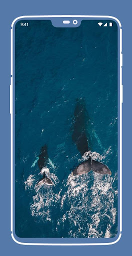 Blue Aesthetic Wallpapers Screen 3