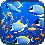 Fishes Live Wallpaper 2017 icon