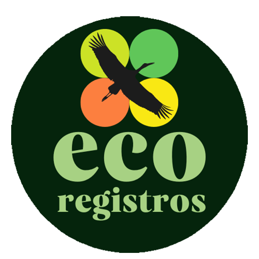 EcoRegistros Download on Windows