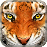 Tiger Simulator 3D Wildlife icon