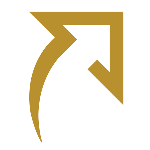 STS Enterprise Corporation logo