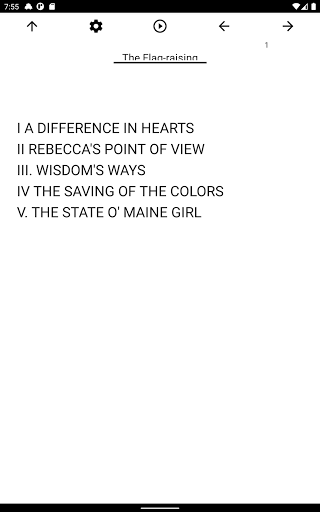 Book, The Flag-raising Screen 3