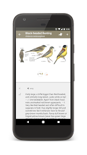 Snímek obrazovky Collins Bird Guide