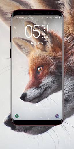 Fox Wallpaper Screenshot 4 - AppWisp.com