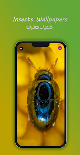 8K Insects Wallpapers