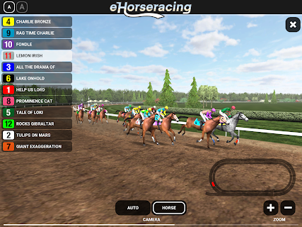 eHorseracing.com Race Viewer
