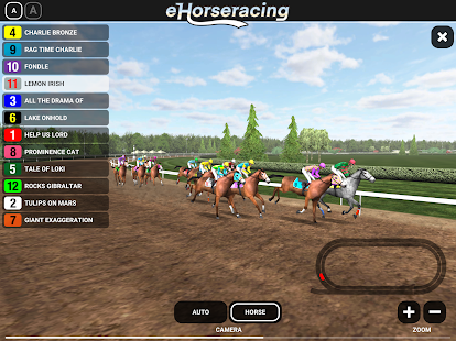 eHorseracing.com Race Viewer 1.0 APK screenshots 9