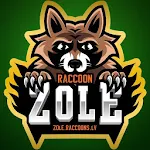 Cover Image of 下载 Latvian card game: RaccoonZole  APK