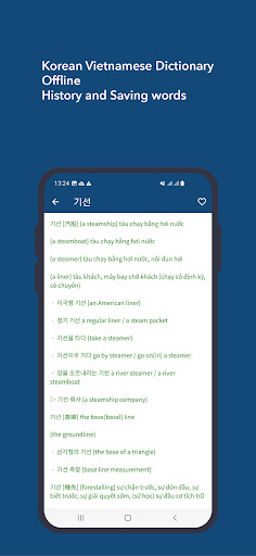 Korean Vietnamese Dictionary Screen 3