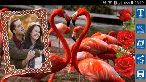 Love Birds Photo Frames Screen 3