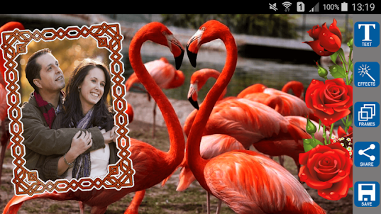 Love Birds Photo Frames