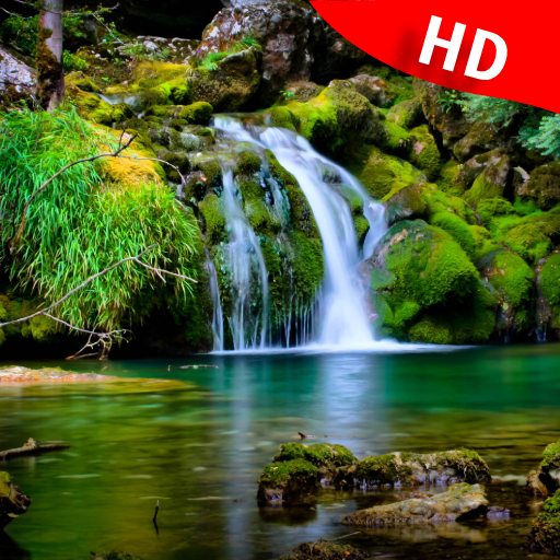 Nature Wallpapers Live HD logo