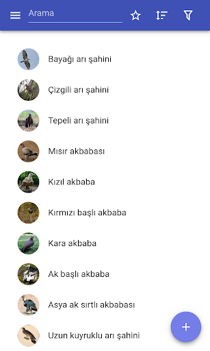 Uygulama önizlemesi